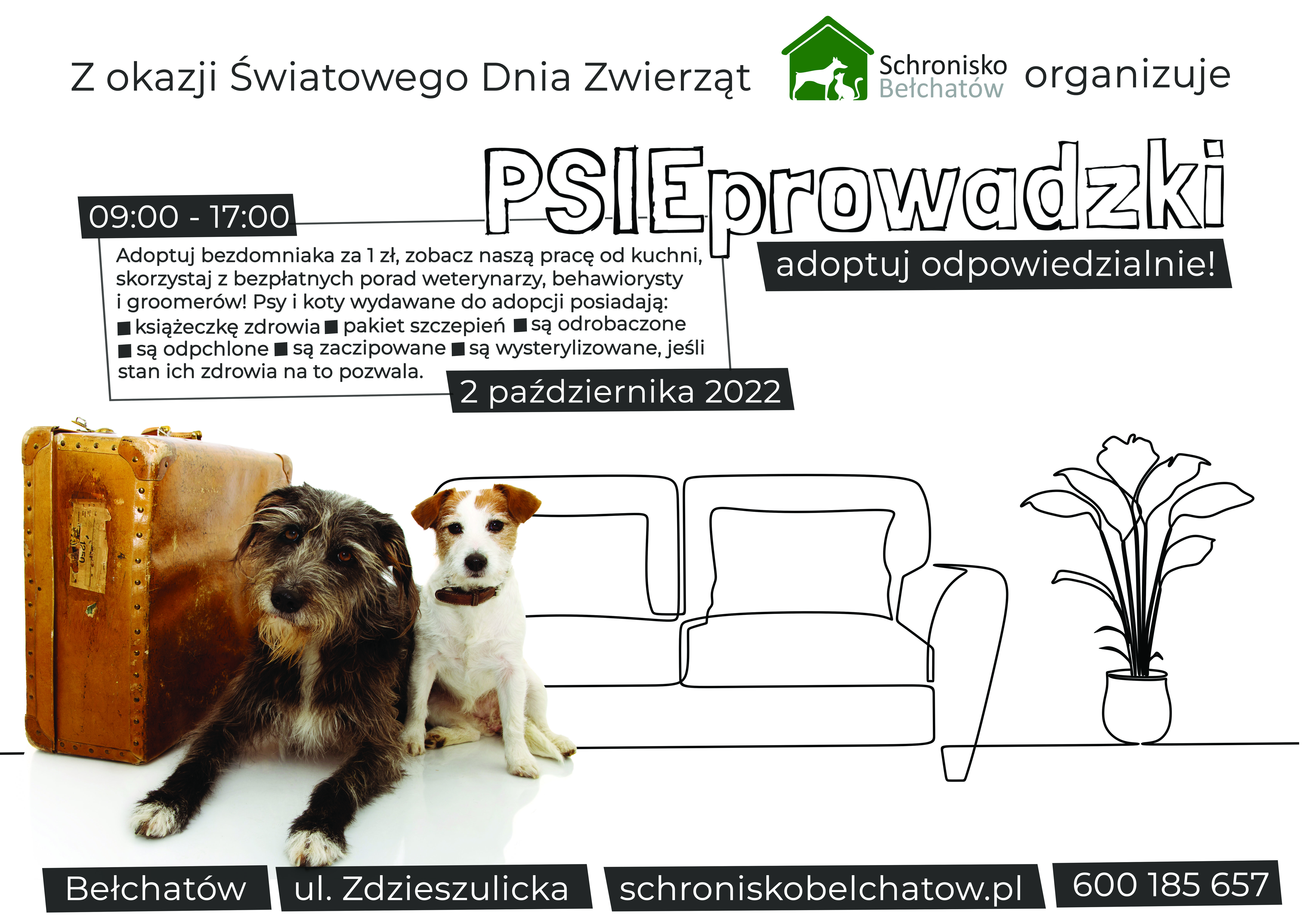 dzień psiaka